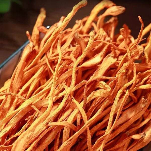 东北虫草花干货无硫农家新货手选精品 东北虫草花干货无硫农家新货手选精品